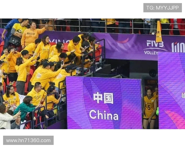 杭州排球队实力引发热议球迷观点各异争论不断