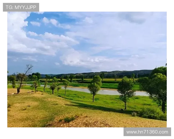 探索阿拉巴的魅力与文化深度，感受这片土地的独特风情与历史韵味