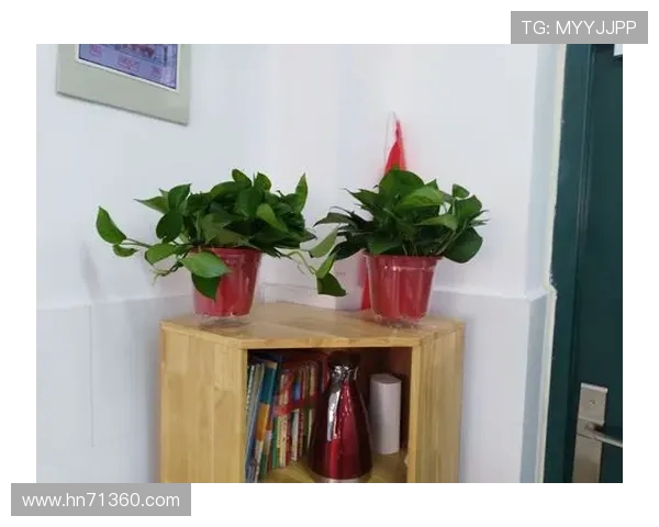 与刘芳畅聊CSGO职业生涯的点滴与挑战 与刘芳畅聊CSGO职业生涯的点滴与挑战